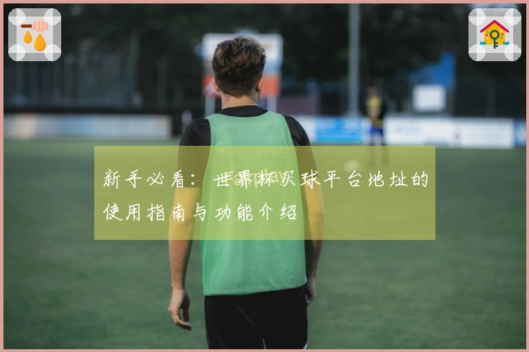 新手必看：世界杯买球平台地址的使用指南与功能介绍