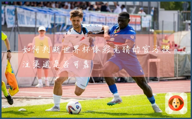 如何判断世界杯体彩竞猜的官方投注渠道是否可靠