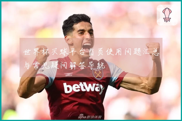 世界杯买球平台首页使用问题汇总与常见疑问解答导航
