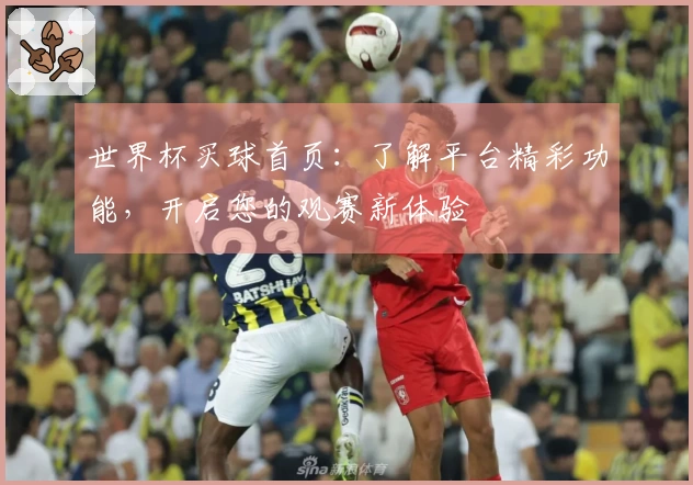 世界杯买球首页：了解平台精彩功能，开启您的观赛新体验