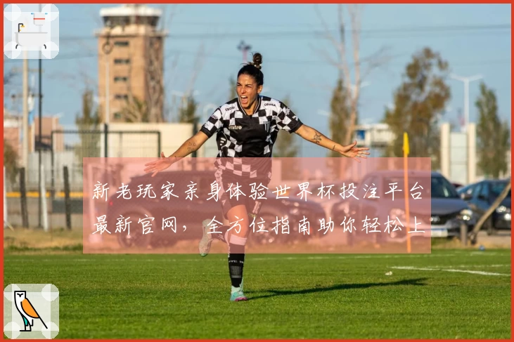 新老玩家亲身体验世界杯投注平台最新官网,全方位指南助你轻松上手