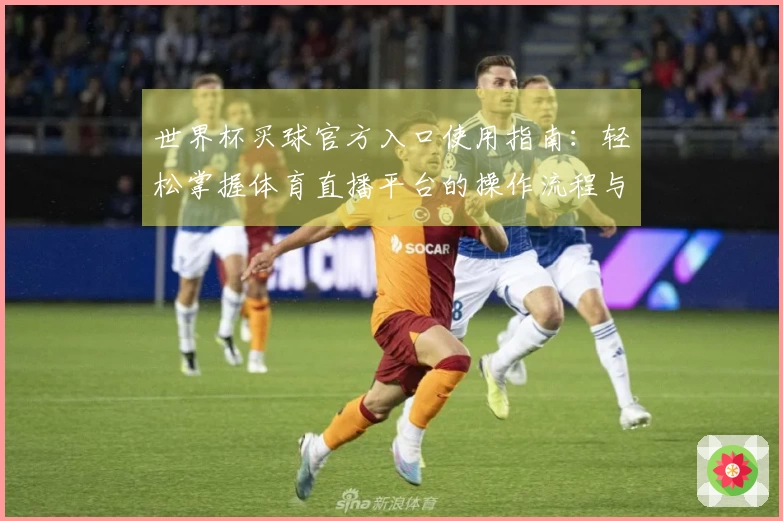 世界杯买球官方入口使用指南：轻松掌握体育直播平台的操作流程与功能介绍