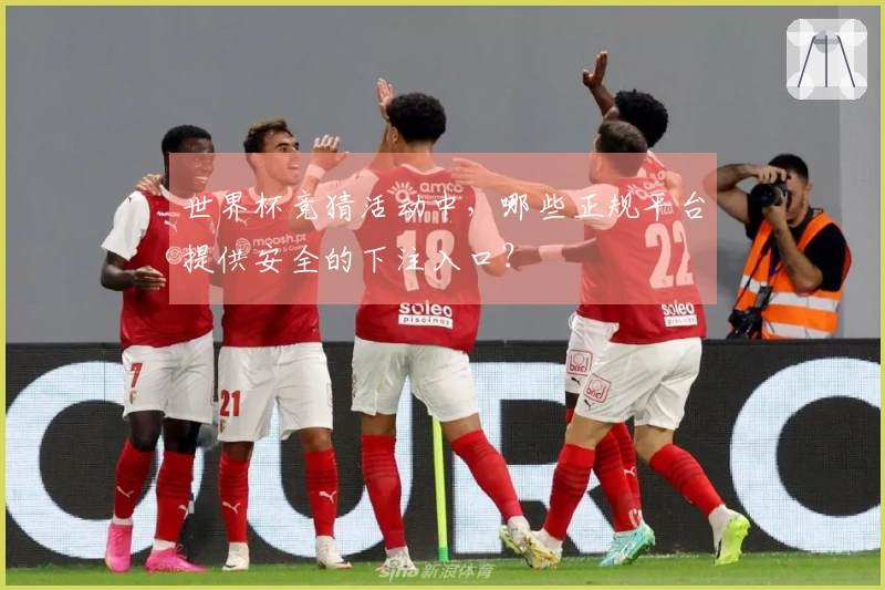 世界杯竞猜活动中，哪些正规平台提供安全的下注入口？