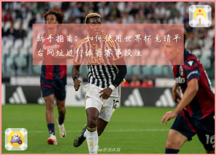 新手指南：如何使用世界杯竞猜平台网址进行体育赛事投注