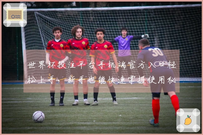 世界杯投注平台手机端官方入口轻松上手，新手也能快速掌握使用秘诀