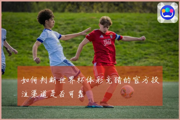 如何判断世界杯体彩竞猜的官方投注渠道是否可靠