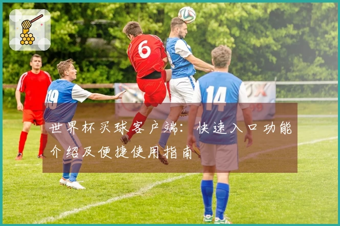 世界杯买球客户端：快速入口功能介绍及便捷使用指南