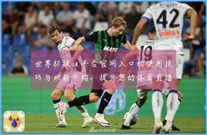 世界杯投注平台官网入口的使用技巧与功能介绍，提升您的体育直播体验